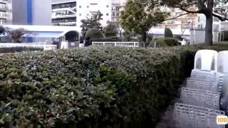 漂亮的保姆6高清免费观看少妇就是安逸